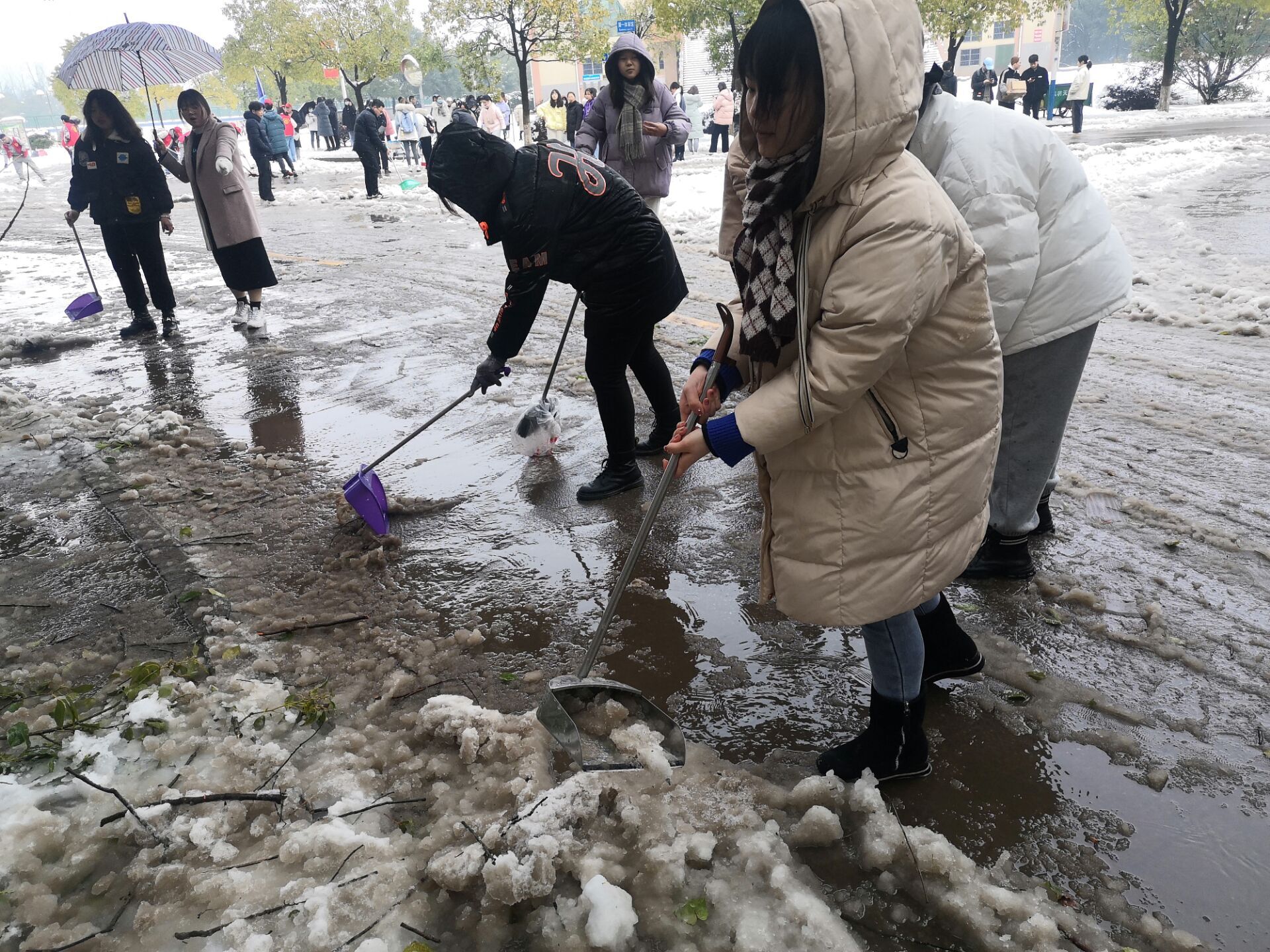 2ac6c17479db4cd48c95cdb528722fd7.jpg 2ac6c17479db4cd48c95cdb528722fd7.jpg